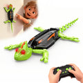 Wall Climbing RC Gecko – Remote Control Lizard Robot by DailySale