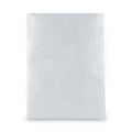 Survivor Lightweight 14 lb Tyvek Catalog Mailers, #13 1/2, Square Flap, Redi-Strip Adhesive Closure, 10 x 13, White, 50/Box