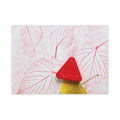 Stride Primo Triangle Crayons, Assorted Colors, 12/Pack