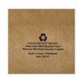 Prime Time Packaging Kraft Paper Bags, 1/6th BBL 12 x 7 x 17, Natural, 300/Bundle