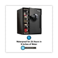 Sentry Fire-Safe with Digital Keypad Access, 2 cu ft, 18.67w x 19.38d x 23.88h, Black