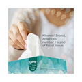 Kleenex White Facial Tissue Junior Pack, 2-Ply, 40 Sheets/Box, 80 Boxes/Carton