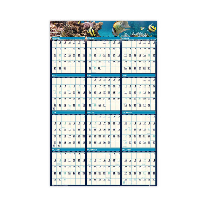 House of Doolittle Earthscapes Recycled Reversible/Erasable Yearly Wall Calendar, Sea Life Photos, 24 x 37, White Sheets, 12-Month(Jan-Dec):2023
