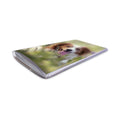 Brownline Monthly Pocket Planners, Dog Artwork, 6.5 x 3.5, Multicolor Cover, 18-Month (Jul to Dec): 2022 to 2023