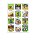 AT-A-GLANCE Puppies Monthly Wall Calendar, Puppies Photography, 15.5 x 22.75, White/Multicolor Sheets, 12-Month (Jan to Dec): 2023