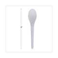 Eco-Products Plantware Compostable Cutlery, Spoon, 6", Pearl White, 50/Pack, 20 Pack/Carton