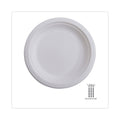 Eco-Products Renewable and Compostable Sugarcane Dinnerware, Plate, 10" dia, Natural White, 50/Pack