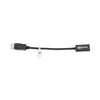 Innovera DisplayPort-HDMI Adapter, 0.65 ft, Black