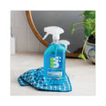 Boulder Clean Glass + Surface Cleaner, Herbal Peppermint, 28 oz Bottle