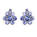 4.26 Carat Genuine Tanzanite .925 Sterling Silver Earrings by Bids.com