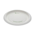 Pactiv Evergreen EarthChoice Pressware Compostable Dinnerware, Plate, 10" dia, White, 300/Carton