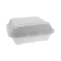 Pactiv Evergreen EarthChoice Bagasse Hinged Lid Container, Dual Tab Lock Large Container, 9 x 9 x 3.5, Natural, Sugarcane, 150/Carton