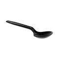 Pactiv Evergreen Meadoware Cutlery, Soup Spoon, Medium Heavy Weight, Black, 1,000/Carton