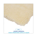 Boardwalk Mop Head, Applicator Refill Pad, Lambswool, 16-Inch, White