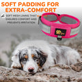 ADITYNA Durable 2-inch AirTag Dog Collar Reflective Metal Buckle Pink Size M by Deal US