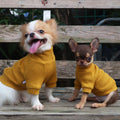 LOPHIPETS Small Dog Turtleneck Sweater Teacup Chihuahua Yorkie Yellow Size XXS by Deal US
