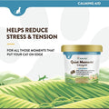 6X NaturVet Quiet Moments Calming Aid + Melatonin Soft Chews for Cats 60ct by Price Is Right Miami