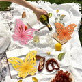 SUNBEAUTY Butterfly Paper Fans Wall Decor Set of 9 Party Paper Decorations by Deal US