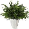 Wsorik 12Pcs 24 Inch Norfolk Pine Stems Artificial Greenery Branches by Deal US