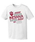 NCAA Indiana Hoosiers Youth Boys Offsides Short sleeve Shirt, Size Large by Vanessa Jane