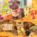 Preboun 100Pcs Fall Thanksgiving Dog Bandanas Pumpkin Maple Leaves Yellow Orange by Deal US