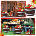 Beeveer Fall Thanksgiving Harvest Apple Orchard Cardboard Cutouts 20-26" Set by Deal US