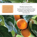Pre De Provence Persimmon Shea Butter Enriched Vegetable Soap 150g by Pasteur Pharmacy