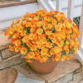 INSPRING Daisy Artificial Outdoor Silk Flowers 6 Bundles Orange UV Resistant by Deal US