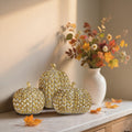 winemana Fall Decorations Set of 3 Gold White Resin Pumpkins Woven Design by Deal US