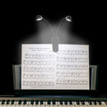 Stand Light, 1/2/4/10 Pack Clip on LED Book Lights, USB and AAA Battery Operated
