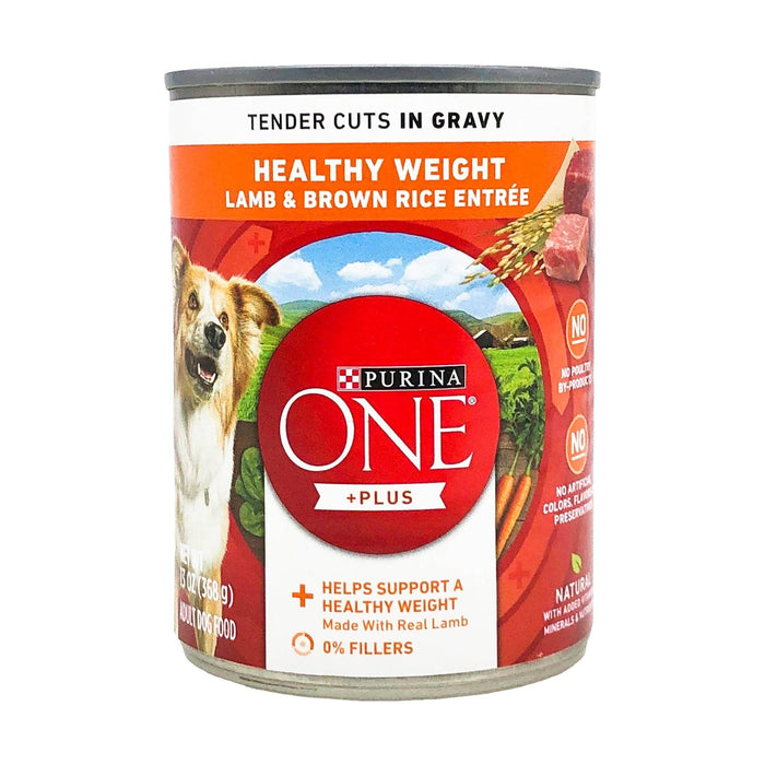 Purina ONE SmartBlend Tender Cuts Lamb & Brown Rice Wet Dog Food 0.93lb by Deal US