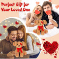 Prewplam Valentines Plush Love Dog Stuffed Animal Toy Brown 1 Inch by Deal US