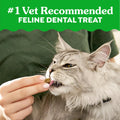 Greenies Cat Treats Adult Natural Dental Tuna Flavor 9.75 oz Tub BEST BY.02/2026 by Deal US