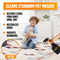 pureng PNG Vitality Stain & Odor Eliminator 16.9oz Pet Odor Neutralizer by Deal US