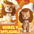 Geyoga Thanksgiving Turkey Hat Adjustable Pet Costume Medium Size by Deal US