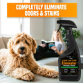 pureng PNG Vitality Stain & Odor Eliminator 16.9oz Pet Odor Neutralizer by Deal US