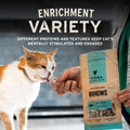 Vital Essentials Freeze Dried Cat Treats Salmon Bites Grain Free 1.1 oz by Deal US