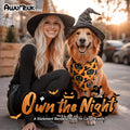 Awumbuk Halloween Dog Bandanas 2 Pack Reversible Pumpkin Spider Web Black by Deal US