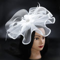 Needzo White Floral Feather Mesh Fascinator Headband Hair Clip One Size by Deal US
