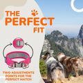 ADITYNA Durable 2-inch AirTag Dog Collar Reflective Metal Buckle Pink Size M by Deal US