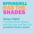 Springhill Colored Paper, 24 lb Canary Printer Paper, 8.5 x 14-1 Ream (500 Sheet by Vanessa Jane