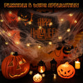 Joygoods Halloween Spider String Lights 7ft 20 LED Warm White Battery 2 Pack by Deal US