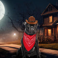 PEUTIER Pet Cowboy Costume Dog Hat & Bandana Brown Red Small by Deal US