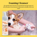 Divine Canine Summer Essentials Dog Care Kit Sunscreen Paw Balm by Deal US