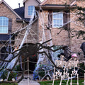 OCATO 200" Halloween Spider Web + 59" Giant Spider Decorations Black by Deal US