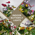 Oreunik Butterfly Lights 2ft 24LED Indoor Tree Lights Timer Warm White by Deal US