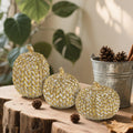 winemana Fall Decorations Set of 3 Gold White Resin Pumpkins Woven Design by Deal US