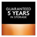 Duracell CopperTop Alkaline 9V Batteries, 2/Pack