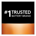 Duracell CopperTop Alkaline D Batteries, 2/Pack