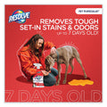 RESOLVE Pet Specialist Stain and Odor Remover, Citrus, 60 oz Refill Pour Bottle, 4/Carton